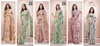 Shifu Vol 8 By Vallabhi Printed Georgette Sarees Wholesale Clothing Suppliers In India